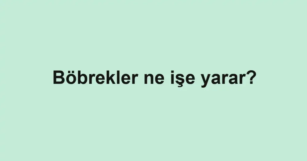 bobrekler-ne-ise-yarar-2